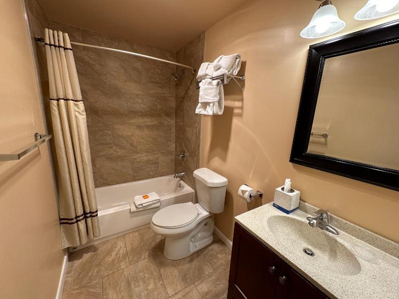 Deluxe Room image 4