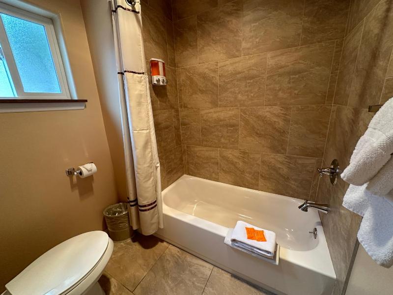 Deluxe King Suite image 3