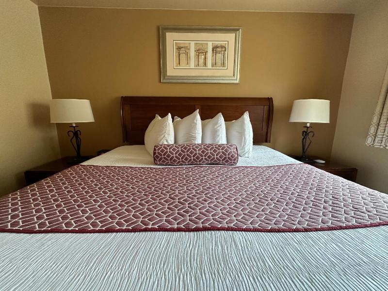 Deluxe King Suite image 3