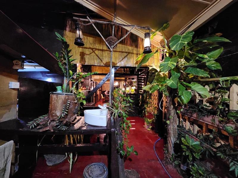 Woody Cabana - image 9