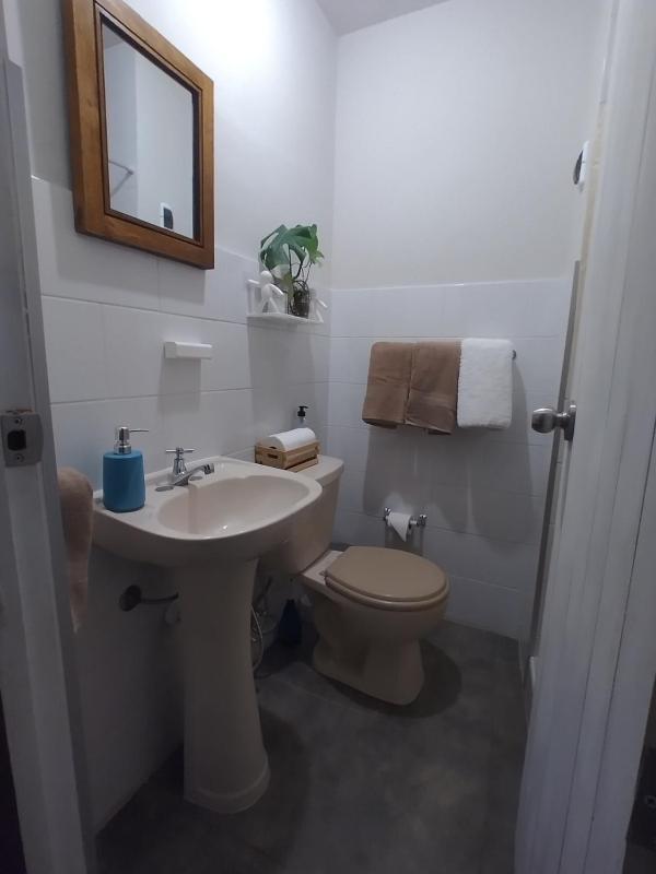 Centric private petfriendly apartments in Miraflores - image 8