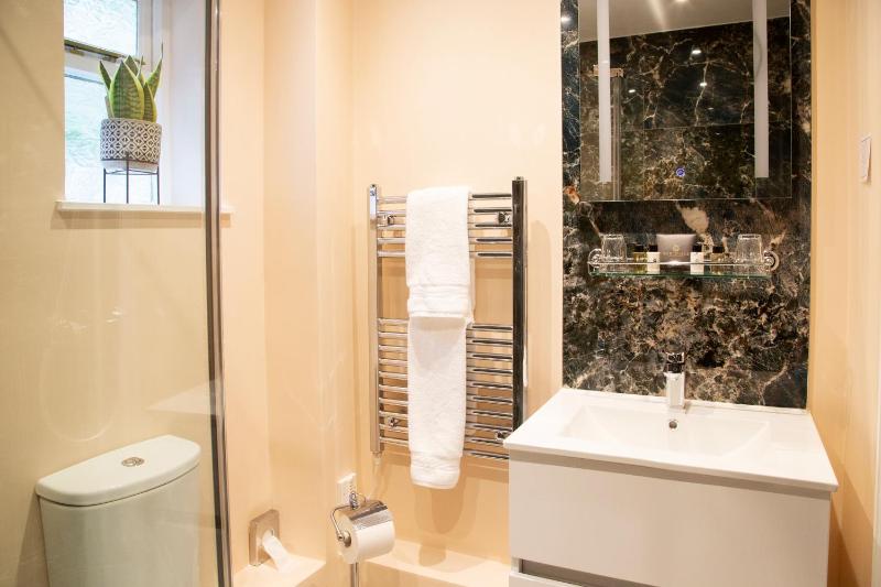 Deluxe Double or Twin Room image 4