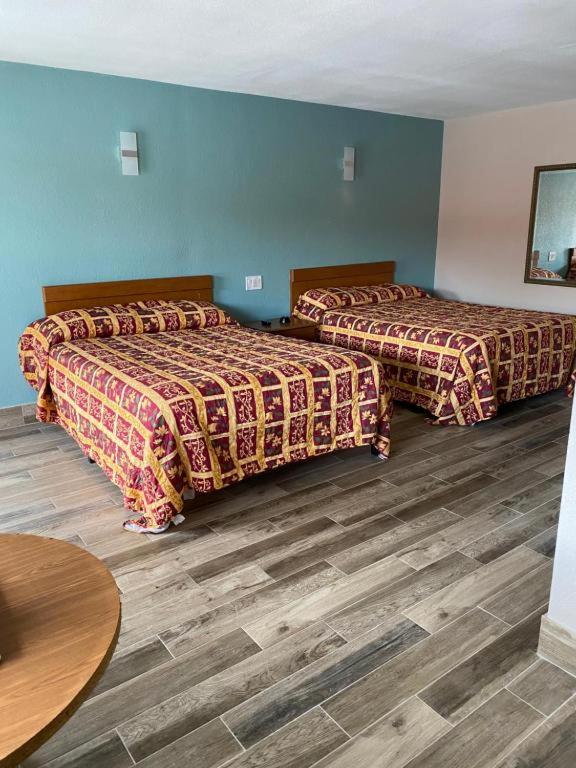 Red Carpet Inn Daytona Beach - image 26