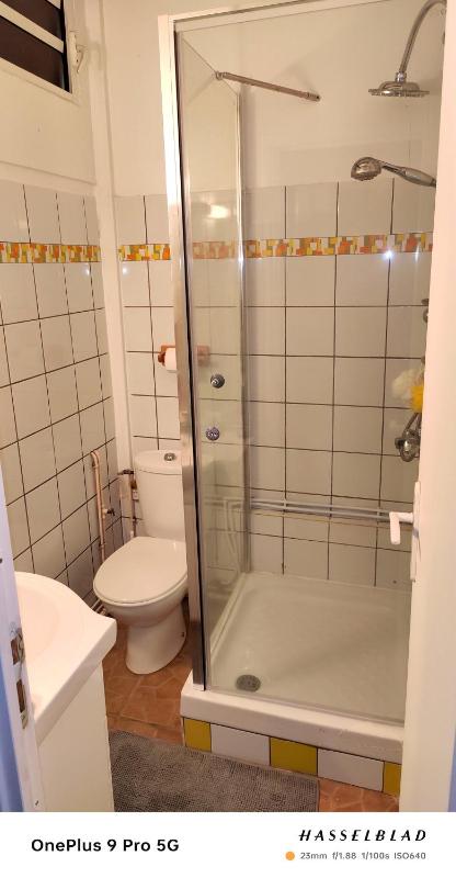 Appartement charmant à Rivière-Pilote - 30 m² avec terrasse - image 2