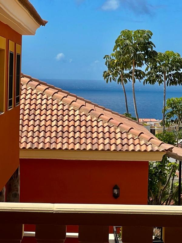 Wonderful apartment with ocean view! Madroñal. Tenerife South! - image 19