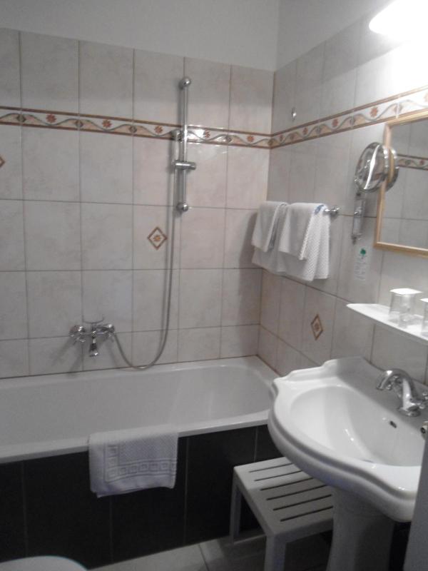Hotel Apartment Rothensteiner - image 4