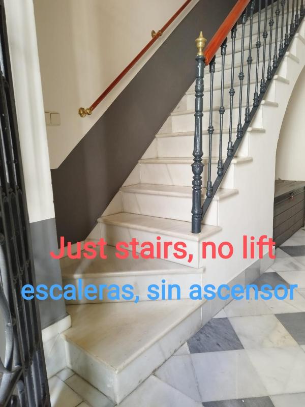 San Lorenzo Collection Homes - Space Maison Apartments - image 12