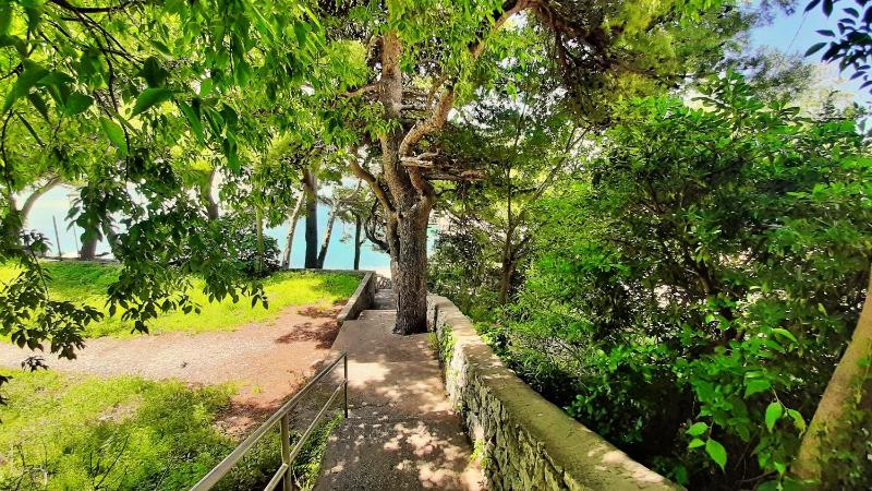 Apartment Tica - image 14
