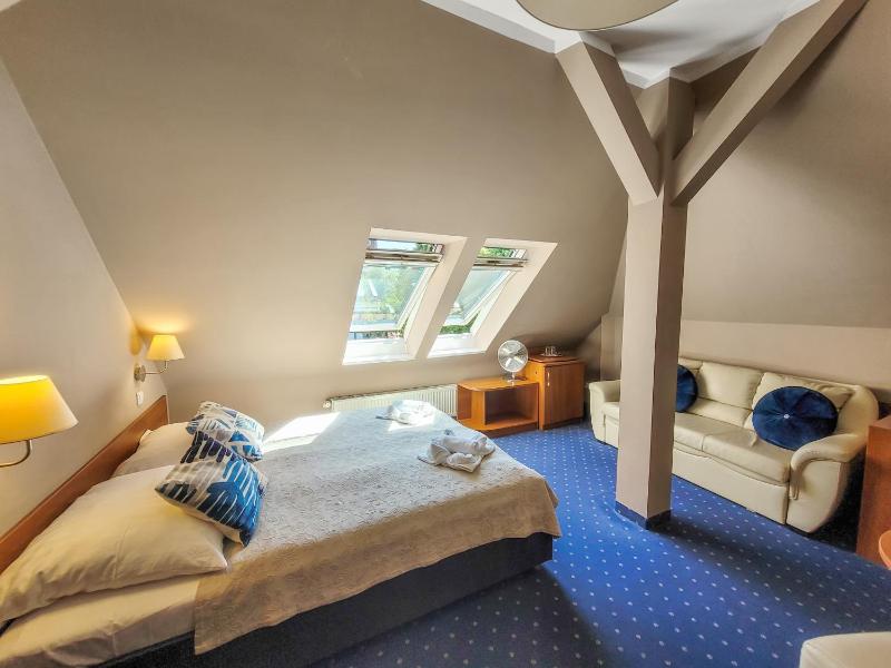 Double Room - Attic image 1