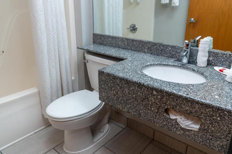 Deluxe Studio Suite with Two Queen beds/No Pets -  Non-Smoking image 3