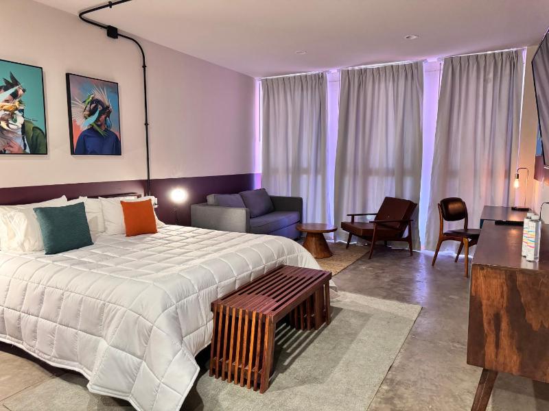 Hotel Olá Chapultepec - image 16