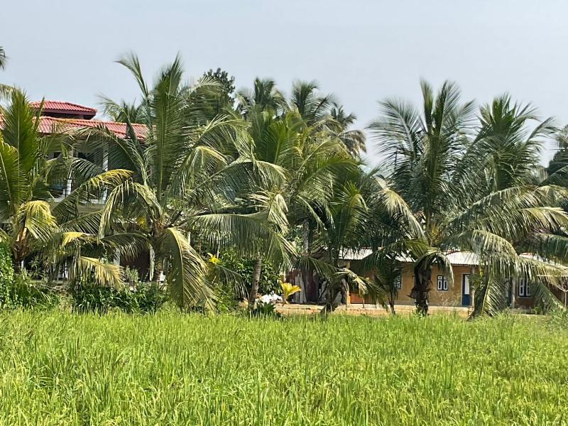 Suwetha villa Ayurveda Resort - image 29