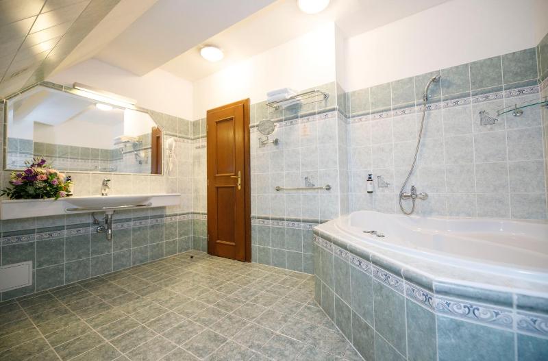LH Hotel Gold - image 16