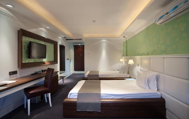 Standard Twin Room image 3