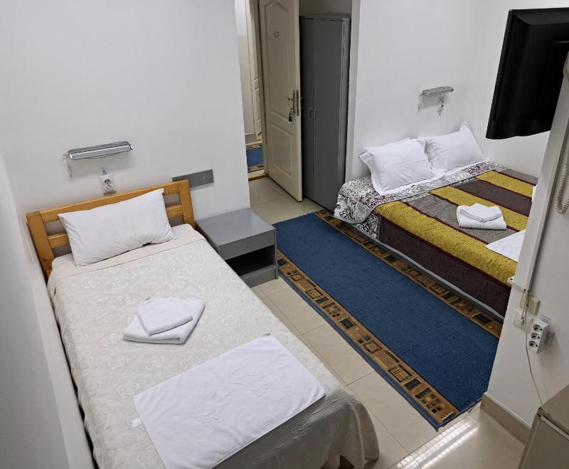 Deluxe Double Room with Extra Bed image 4