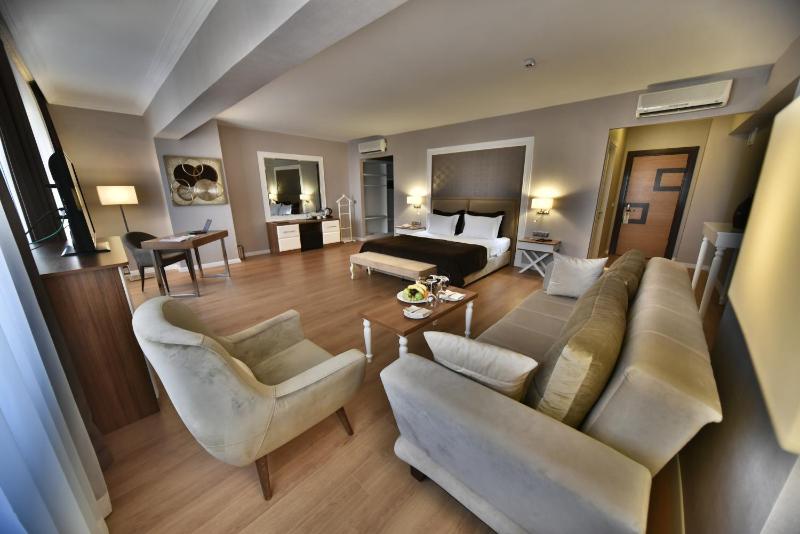 Executive Suite with Spa Bath image 2