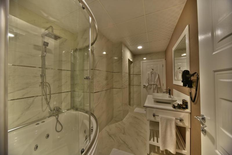 Executive Suite with Spa Bath image 3