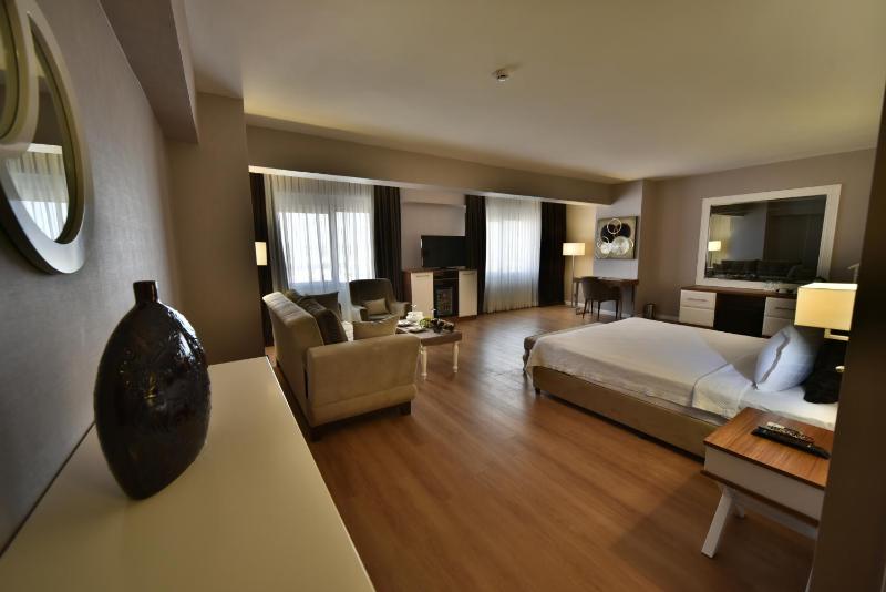 Executive Suite with Spa Bath image 4
