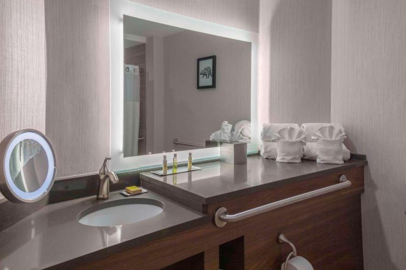 King Room with Accessible Tub - Mobility and Hearing Access image 4