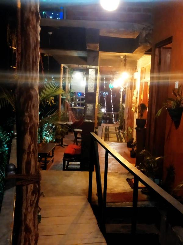 Hostal Tree House - image 4