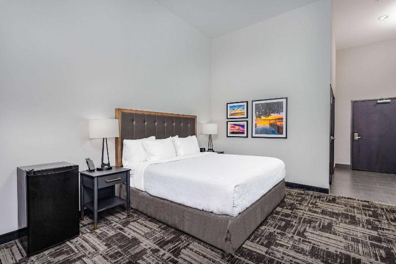 King Room with Roll-In Shower - Mobility Access/Non-Smoking image 1