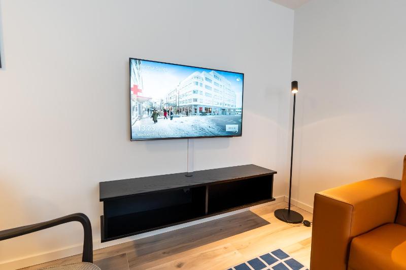 Hlemmur Suites - image 7