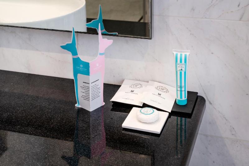 Superior Twin Room image 1