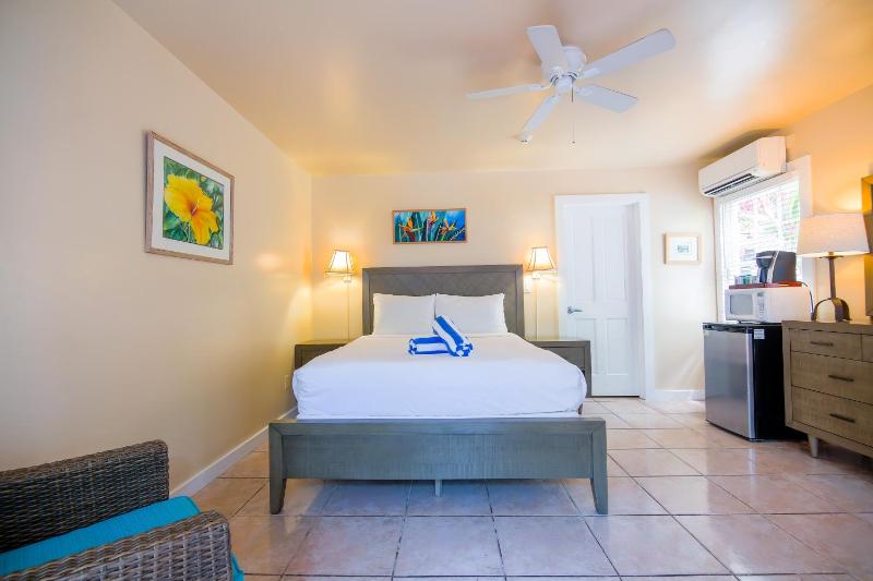 Queen Room with Pool View ( #106) image 1