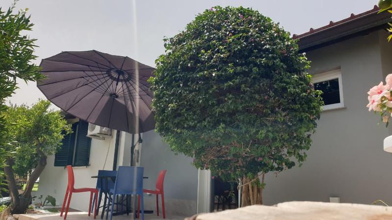 Duplex House - image 16