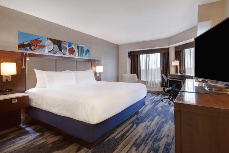 Premium King Room image 1