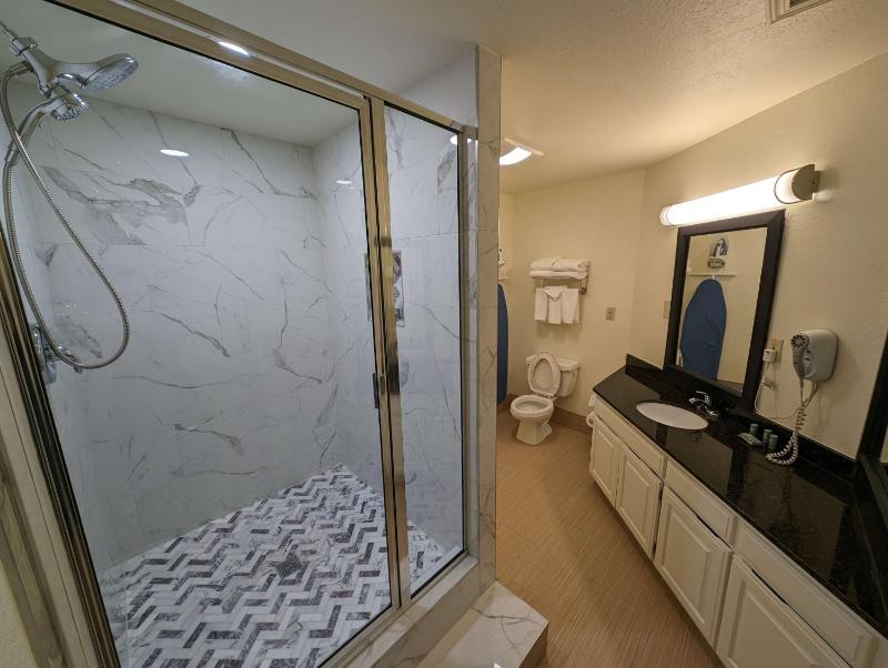 King Suite with Sofa Bed and Wet Bar image 2