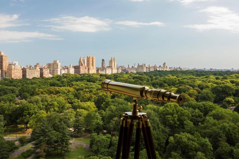 The Ritz-Carlton New York Central Park - image 11