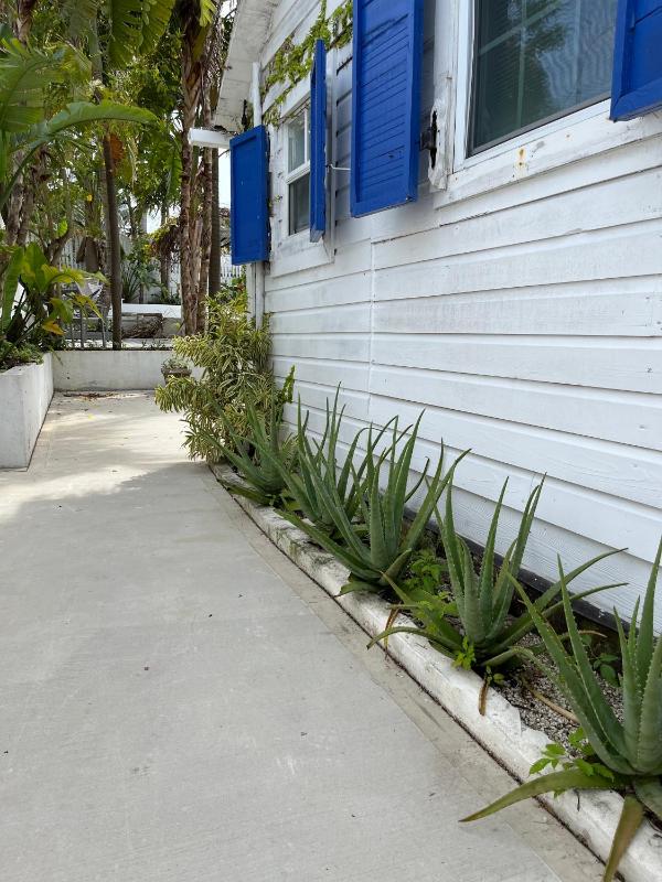 Downtown Nassau Oasis Unit 3 - image 10