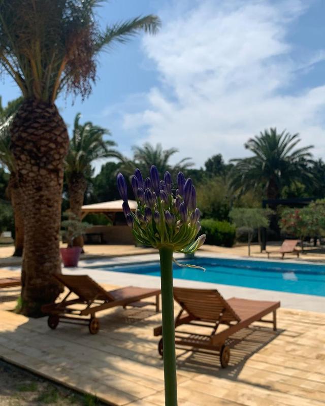 Double Room with Garden View image 3