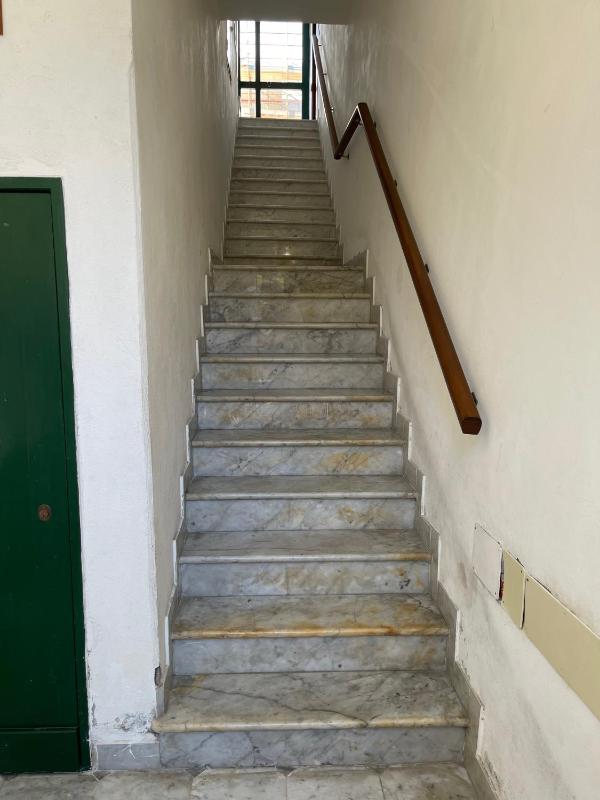 Amabile apt central location near beaches - image 19