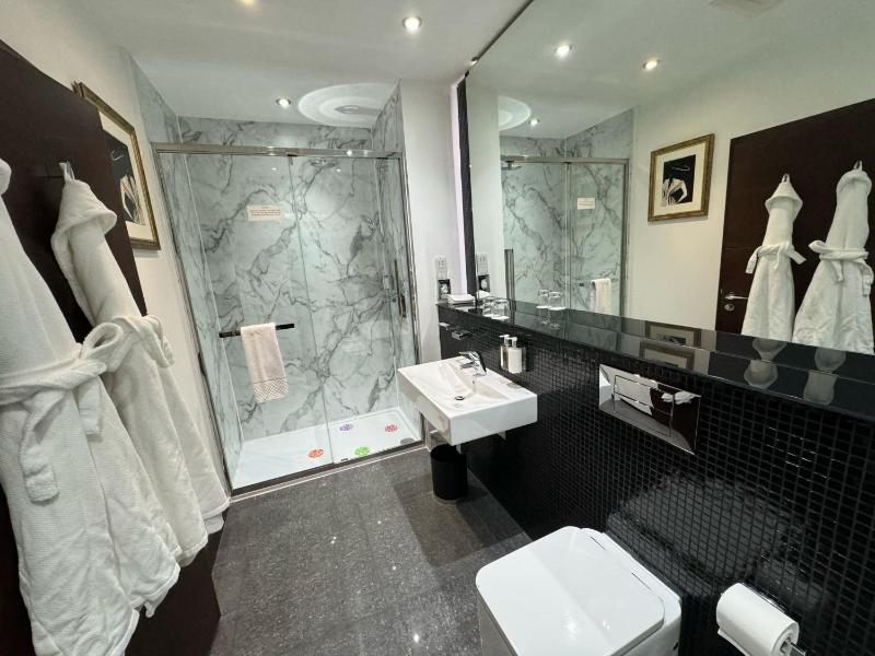 Deluxe Double Room image 2