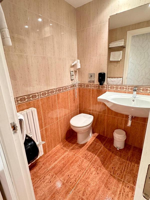 Double Room with Extra Bed image 3