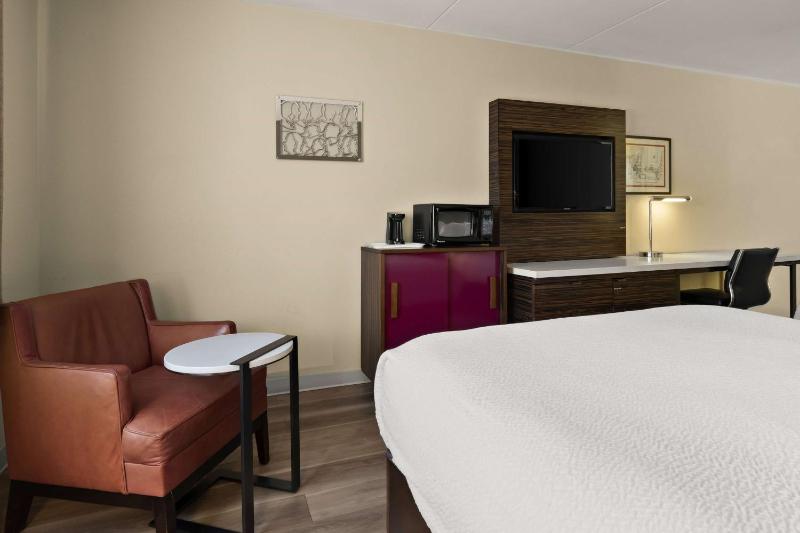 King Studio Suite - Non-Smoking image 4
