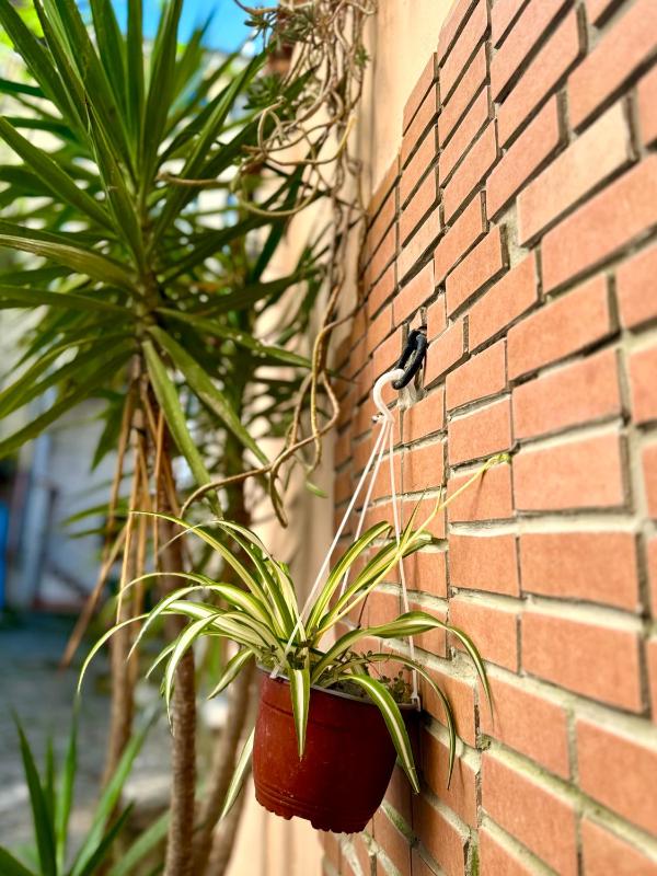 Casa vacanze Hippocampus - image 13