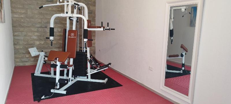 Apartman Retro with heated pool and gym for 8 - image 25