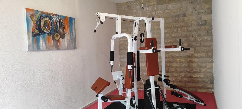 Apartman Retro with heated pool and gym for 8 - image 6