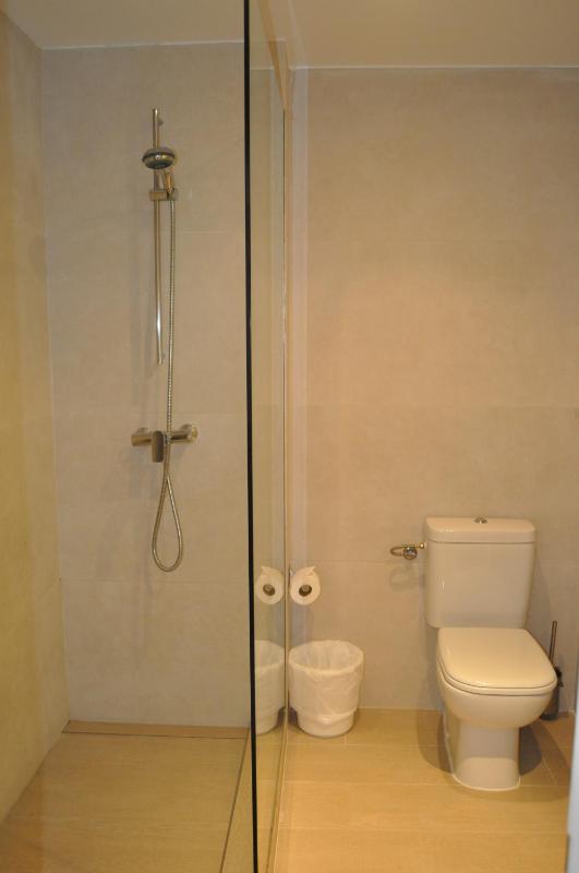 Single Room image 4