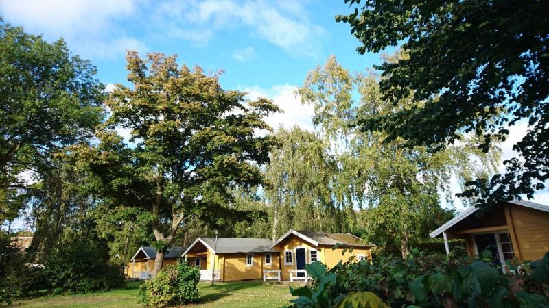 Deluxe Bungalow image 1