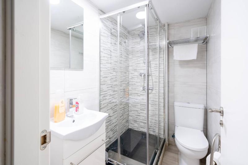 Studio Apartment image 3