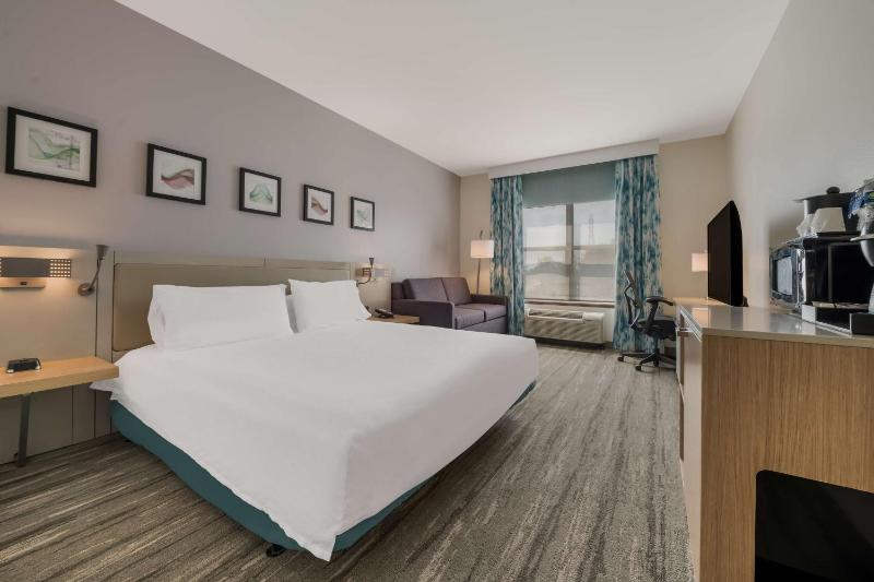 One-Bedroom King Suite with Sofa Bed image 3