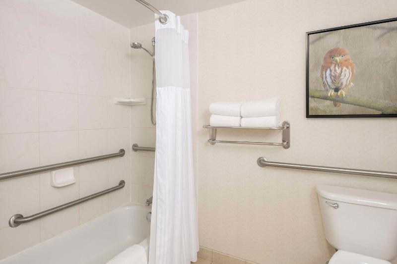 King Room with Accessible Tub - Mobility Access image 2