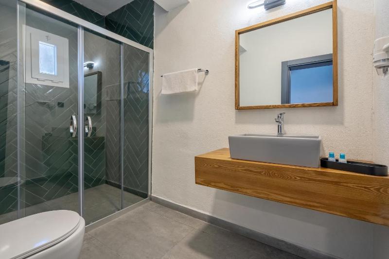 Deluxe Double or Twin Room image 1