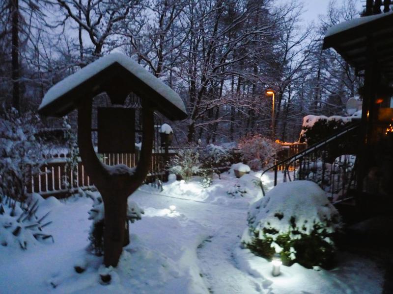 Ferienwohnung im Wald mit Kamin - image 3
