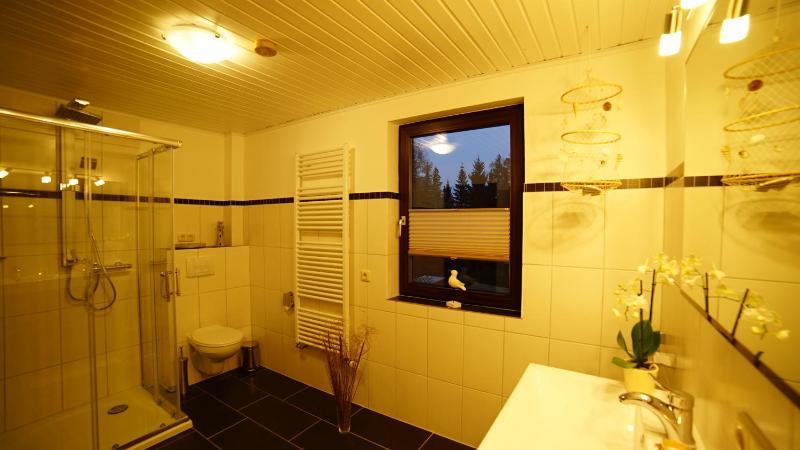 Ferienwohnung im Wald mit Kamin - image 13