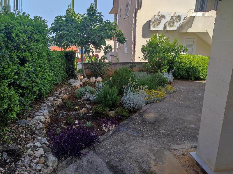 Apartment with Terrace image 1